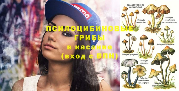 PSILOCYBIN Заречный
